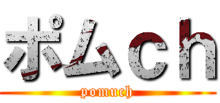 ポムｃｈ (pomuch)