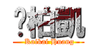 黃柏凱 ( Kaikai Huang)