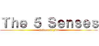 Ｔｈｅ ５ Ｓｅｎｓｅｓ (Science is Fun)