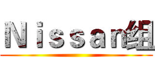 Ｎｉｓｓａｎ组 ()