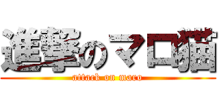 進撃のマロ猫 (attack on maro)