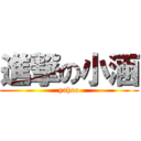 進撃の小涵 (yahoo)