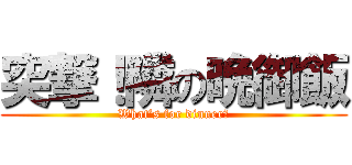 突撃！隣の晩御飯 (What’s for dinner?)