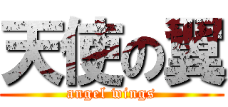 天使の翼 (angel wings)