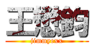 王懋鈞 (jimmyexx)