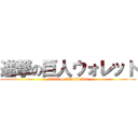 進撃の巨人ウォレット (attack on titan　wallet)