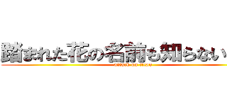 踏まれた花の名前も知らない巨人 (attack on titan)