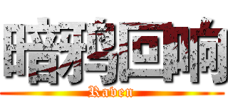 暗鸦回响 (Raven)