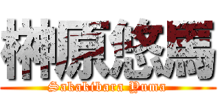 榊原悠馬 (Sakakibara Yuma)