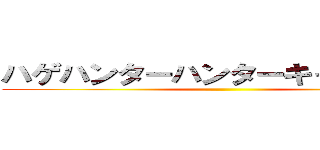 ハゲハンターハンターキャラクター ()