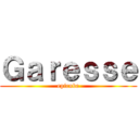 Ｇａｒｅｓｓｅ (epicube)