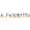 Ａ Ｆｅｌｄｅｒｉｔｏ ()