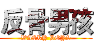 反骨男孩 (WACKY BOYS)