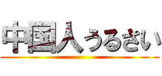 中国人うるさい ()