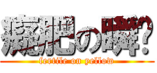 癡肥の瞬黃 (fertile on yellow)