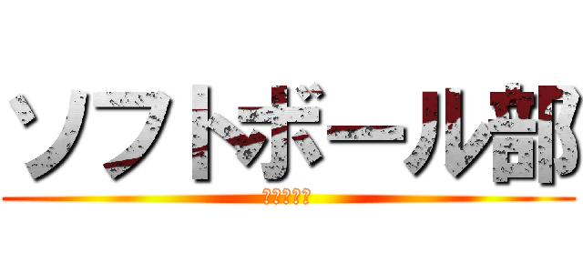 ソフトボール部 (部員募集中)