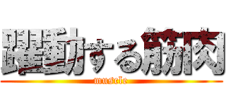 躍動する筋肉 (muscle)