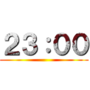 ２３：００ ()