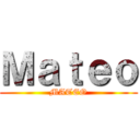 Ｍａｔｅｏ (MATEO)