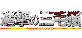 進撃の三毛猫 (lovery nikukyu)