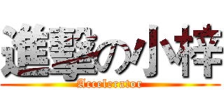 進擊の小梓 (Accelerator)