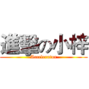 進擊の小梓 (Accelerator)