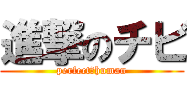 進撃のチビ (perfect　human)