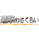 進撃のさくらい (attack on titan)