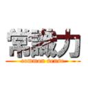 常識力 (common sense)