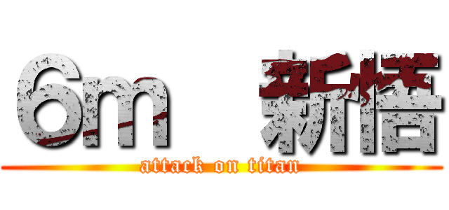 ６ｍ  新悟 (attack on titan)