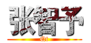 张智予 (Qt)