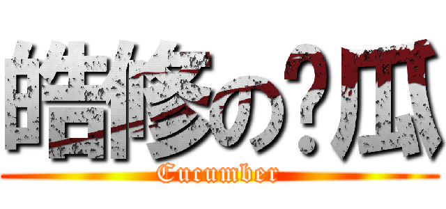 皓修の黃瓜 (Cucumber)