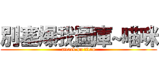 別塞爆我圖庫~喵咪 (attack on titan)