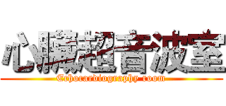 心臟超音波室 (Echocardiography room)