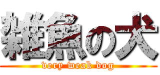 雑魚の犬 (very weak dog)