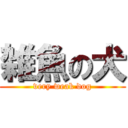 雑魚の犬 (very weak dog)