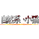 自然系·小猫 (Department of the cat)