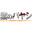 紫のバヤシ (purple on bayasi)