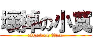 壞掉の小寞 (attack on titan)