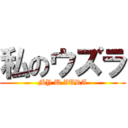 私のウズラ (MY U.ZURA)