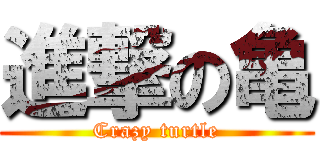 進撃の亀 (Crazy turtle)