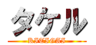 タケル (KITIGAI)