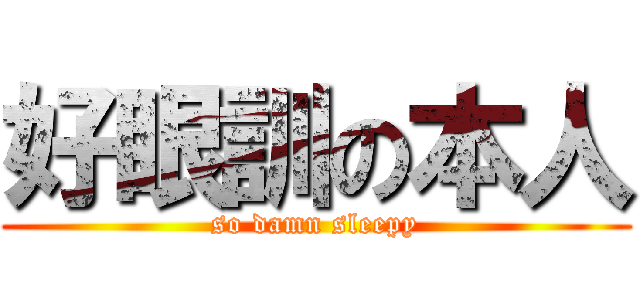 好眼訓の本人 (so damn sleepy)