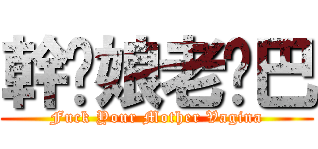 幹你娘老雞巴 (Fuck Your Mother Vagina)