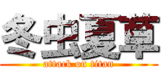 冬虫夏草 (attack on titan)