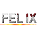 ＦＥＬＩＸ ()
