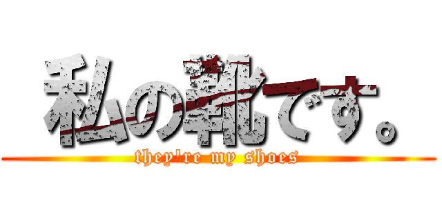  私の靴です。 (they\'re my shoes)
