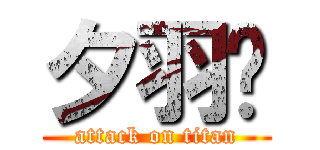 夕羽喵 (attack on titan)