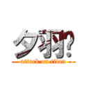 夕羽喵 (attack on titan)