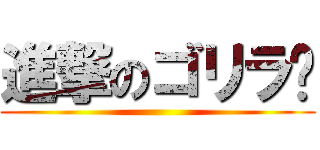 進撃のゴリラ🦍 ()